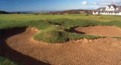 southerdownclub